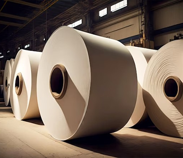 PULP PAPER INDUSTRY